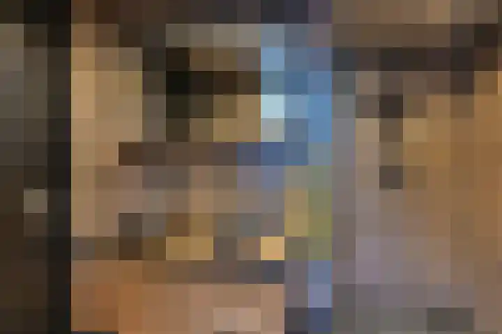 Laan van de Iemenhees 546 Emmen thumbnail 41