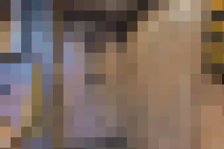 Laan van de Iemenhees 546 Emmen thumbnail 42