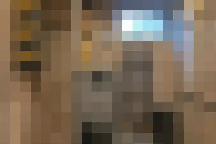 Laan van de Iemenhees 546 Emmen thumbnail 43