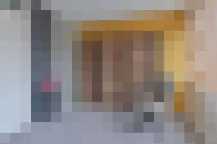 Laan van de Iemenhees 546 Emmen thumbnail 46