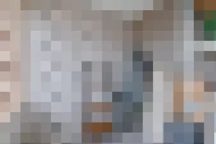 Laan van de Iemenhees 546 Emmen thumbnail 48