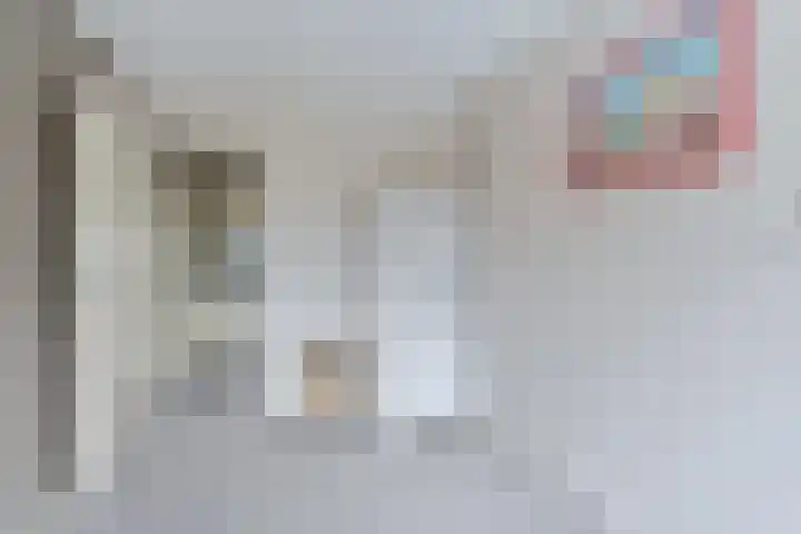 Laan van de Iemenhees 546 Emmen thumbnail 52