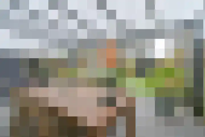 Laan van de Iemenhees 546 Emmen thumbnail 56