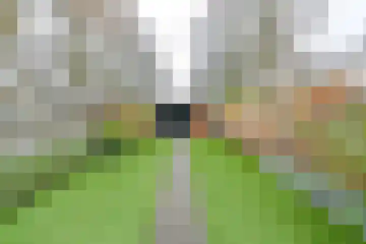 Laan van de Iemenhees 546 Emmen thumbnail 57