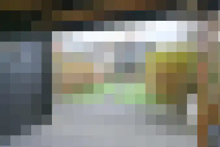 Laan van de Iemenhees 546 Emmen thumbnail 58