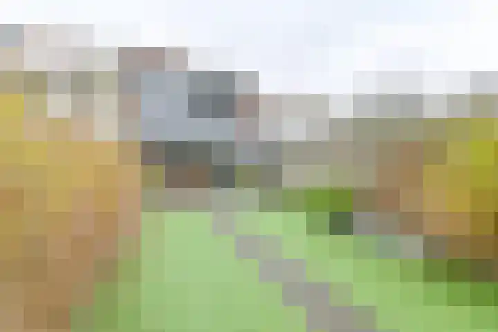 Laan van de Iemenhees 546 Emmen thumbnail 59
