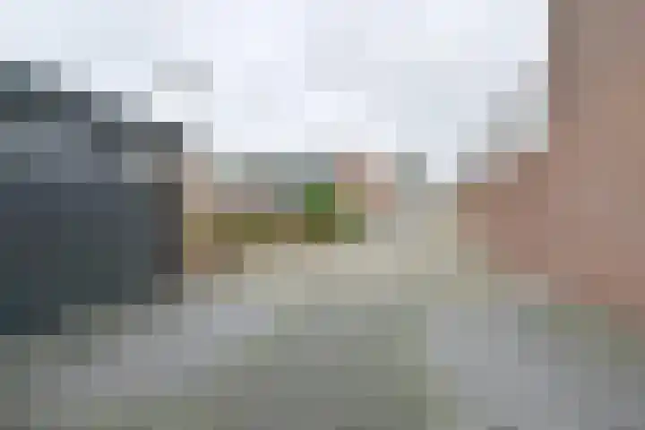 Laan van de Iemenhees 546 Emmen thumbnail 67