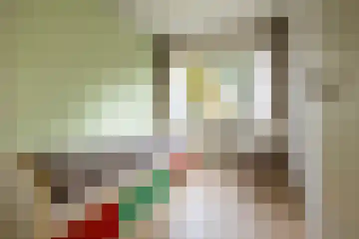 Laan van de Iemenhees 548 Emmen thumbnail 17