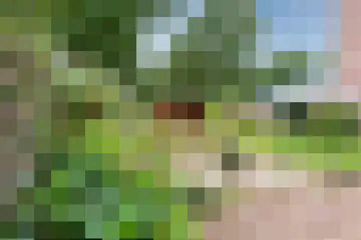 Laan van de Iemenhees 548 Emmen thumbnail 22