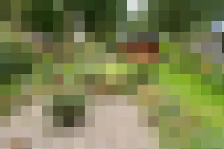 Laan van de Iemenhees 548 Emmen thumbnail 23