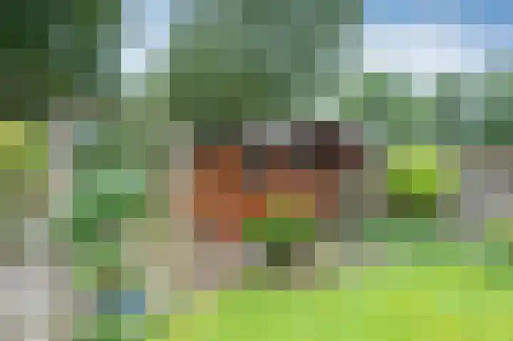 Laan van de Iemenhees 548 Emmen thumbnail 24