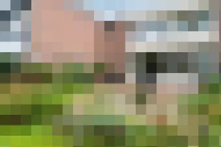 Laan van de Iemenhees 548 Emmen thumbnail 25