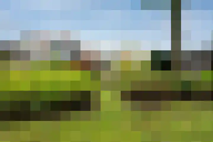 Laan van de Iemenhees 548 Emmen thumbnail 28