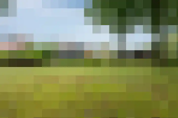 Laan van de Iemenhees 548 Emmen thumbnail 29