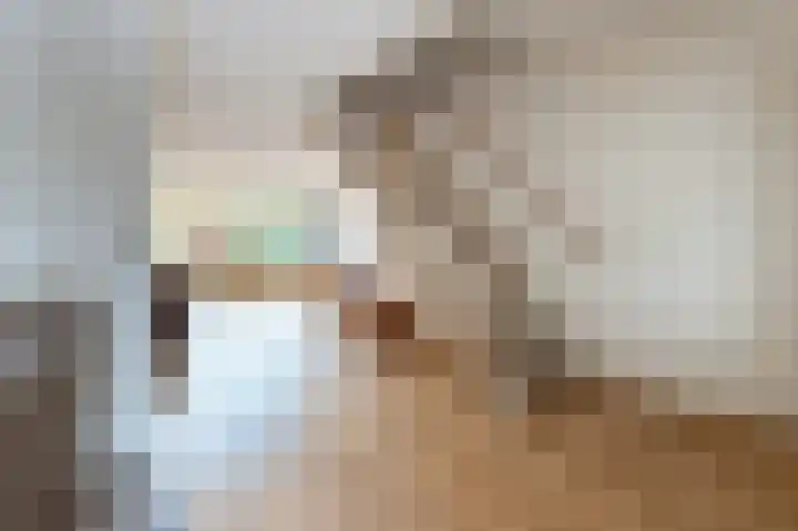 Laan van de Iemenhees 548 Emmen thumbnail 8