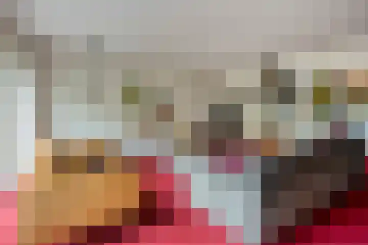 Laan van de Iemenhees 574 Emmen thumbnail 12