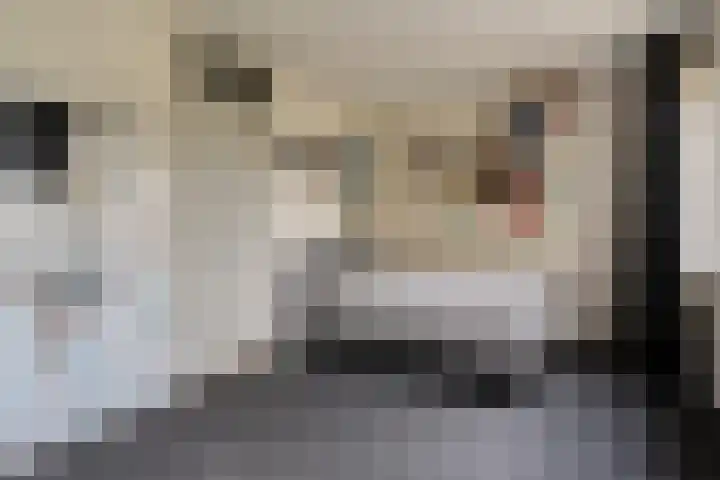 Laan van de Iemenhees 574 Emmen thumbnail 21