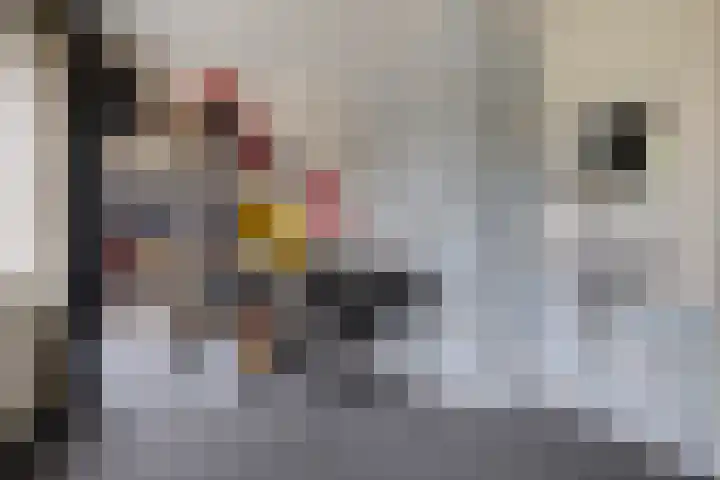 Laan van de Iemenhees 574 Emmen thumbnail 22