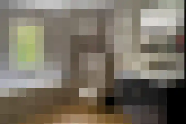 Laan van de Iemenhees 574 Emmen thumbnail 23