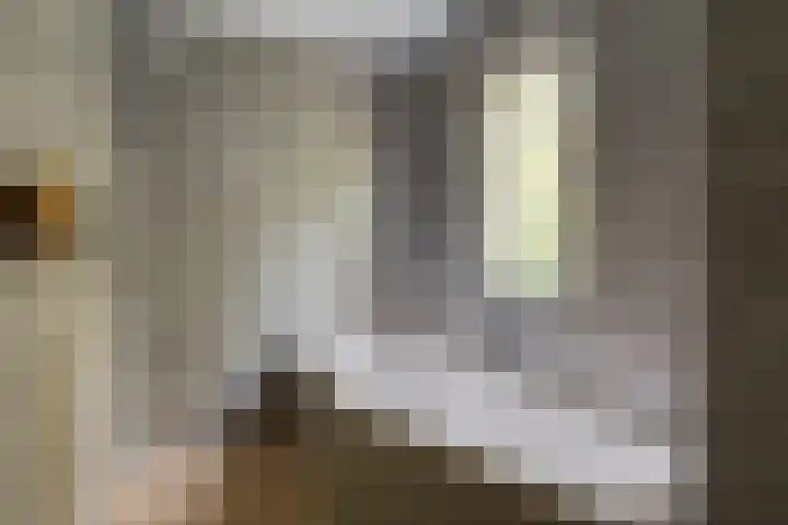 Laan van de Iemenhees 574 Emmen thumbnail 24