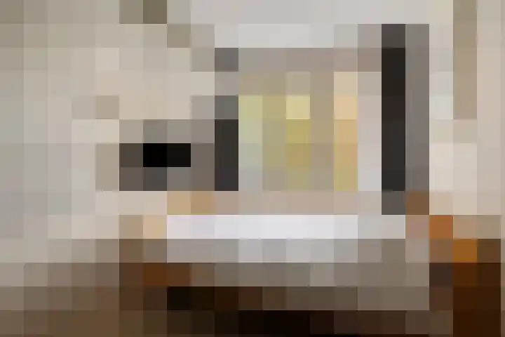 Laan van de Iemenhees 574 Emmen thumbnail 28