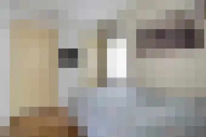 Laan van de Iemenhees 574 Emmen thumbnail 32