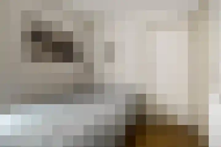 Laan van de Iemenhees 574 Emmen thumbnail 33