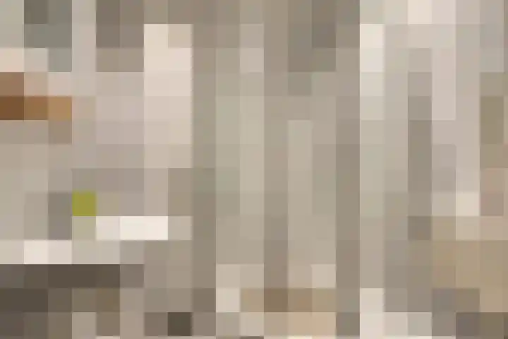 Laan van de Iemenhees 574 Emmen thumbnail 34