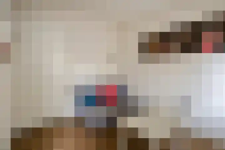 Laan van de Iemenhees 574 Emmen thumbnail 35