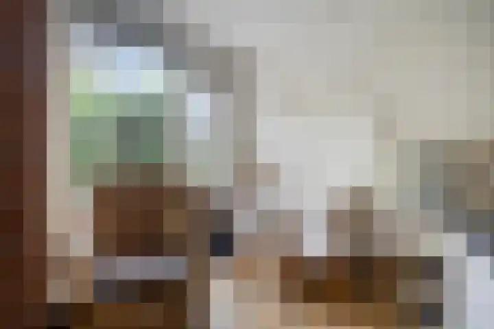 Laan van de Iemenhees 574 Emmen thumbnail 37