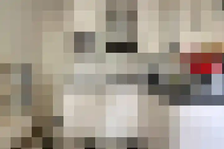 Laan van de Iemenhees 574 Emmen thumbnail 38