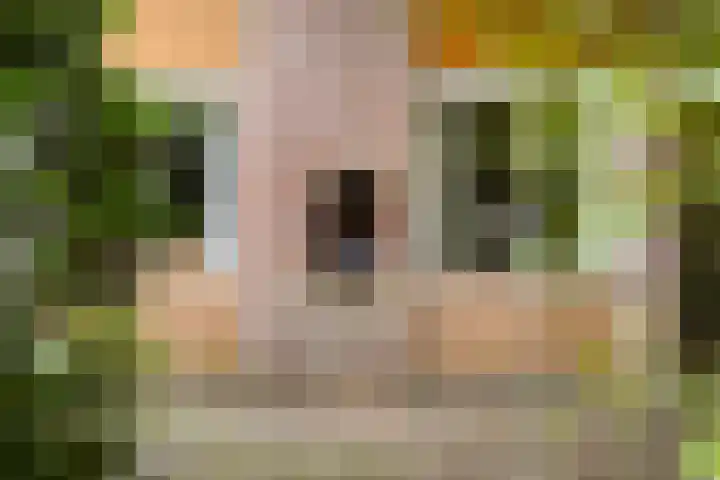 Laan van de Iemenhees 574 Emmen thumbnail 39
