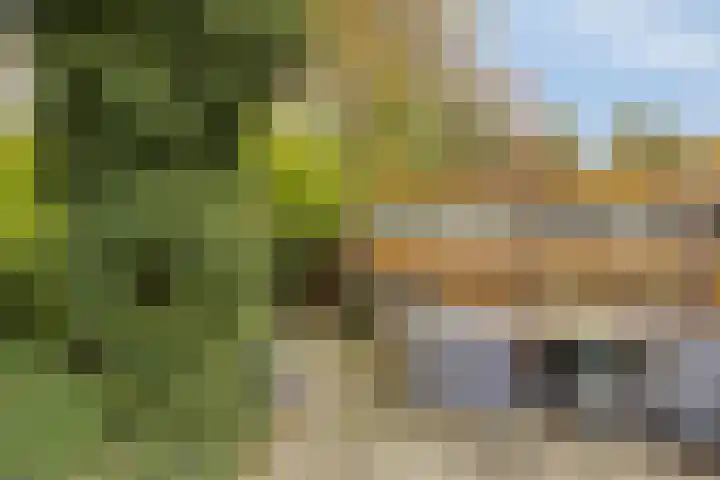 Laan van de Iemenhees 574 Emmen thumbnail 4