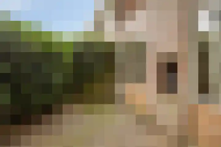 Laan van de Iemenhees 574 Emmen thumbnail 40
