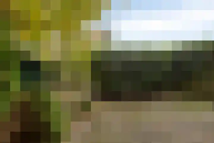 Laan van de Iemenhees 574 Emmen thumbnail 42
