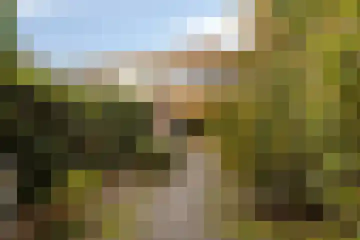 Laan van de Iemenhees 574 Emmen thumbnail 43