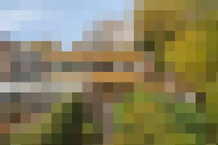 Laan van de Iemenhees 574 Emmen thumbnail 44