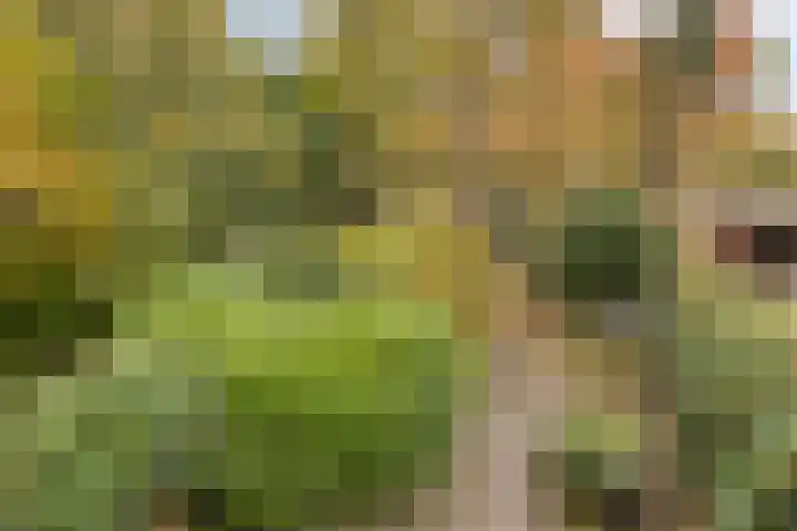 Laan van de Iemenhees 574 Emmen thumbnail 45
