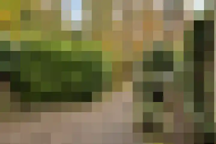 Laan van de Iemenhees 574 Emmen thumbnail 46