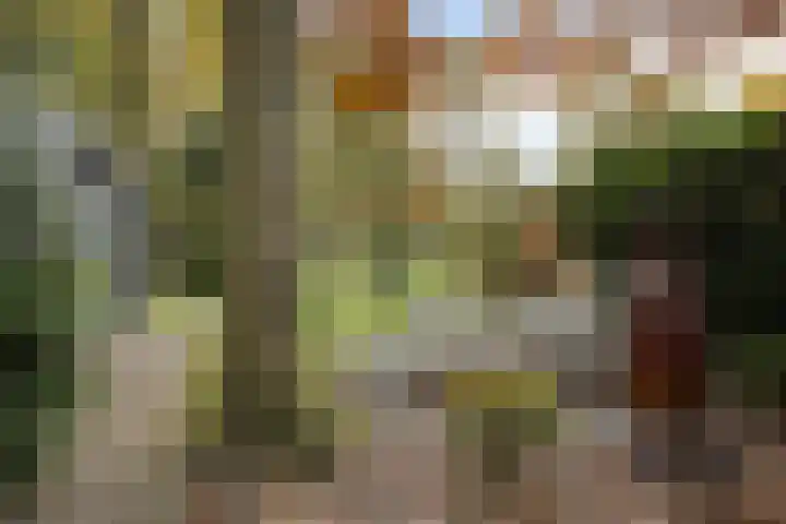 Laan van de Iemenhees 574 Emmen thumbnail 48
