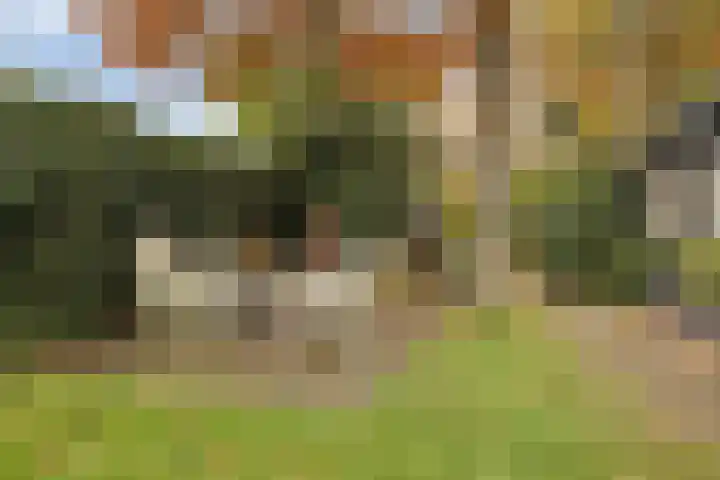 Laan van de Iemenhees 574 Emmen thumbnail 49