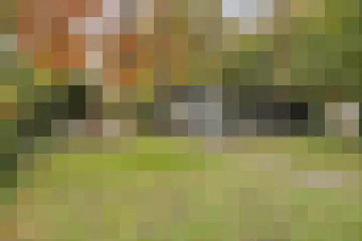 Laan van de Iemenhees 574 Emmen thumbnail 50