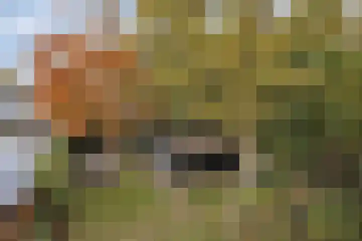 Laan van de Iemenhees 574 Emmen thumbnail 51