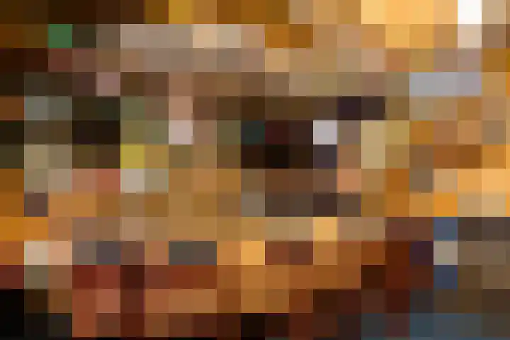 Laan van de Iemenhees 574 Emmen thumbnail 54