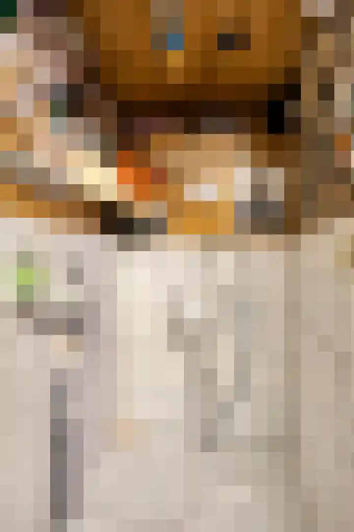 Laan van de Iemenhees 574 Emmen thumbnail 56