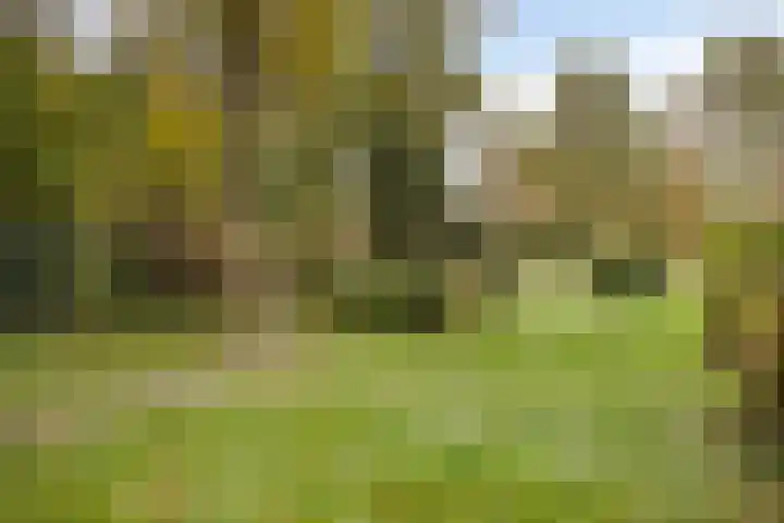 Laan van de Iemenhees 574 Emmen thumbnail 57