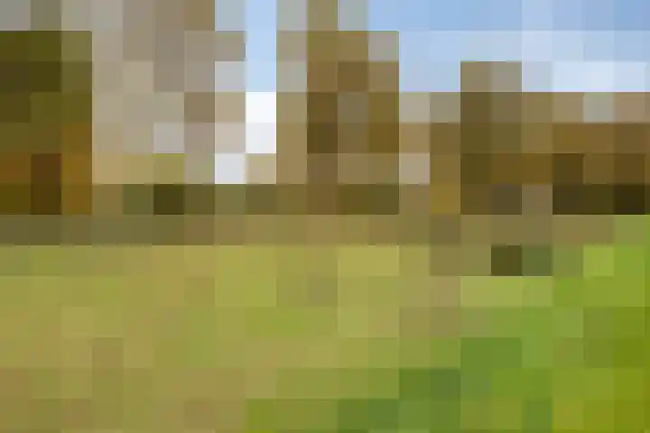 Laan van de Iemenhees 574 Emmen thumbnail 58