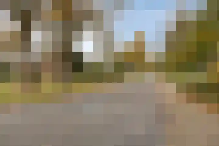 Laan van de Iemenhees 574 Emmen thumbnail 59