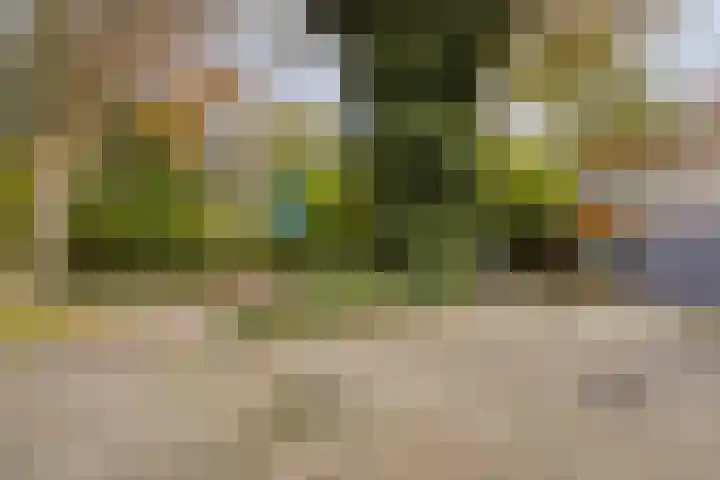 Laan van de Iemenhees 574 Emmen thumbnail 60