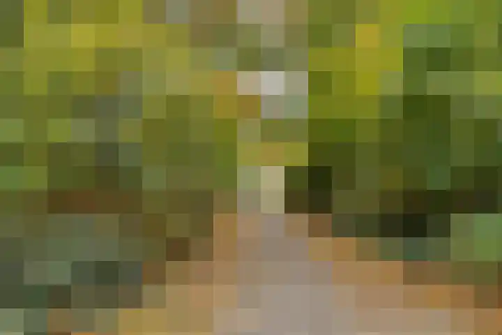 Laan van de Iemenhees 574 Emmen thumbnail 61